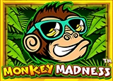 เกมสล็อต Monkey Madness